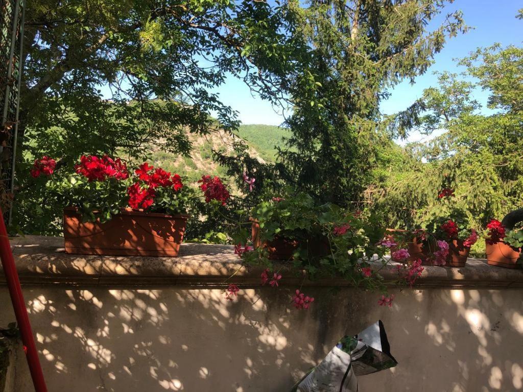 Le Fate Umbria *